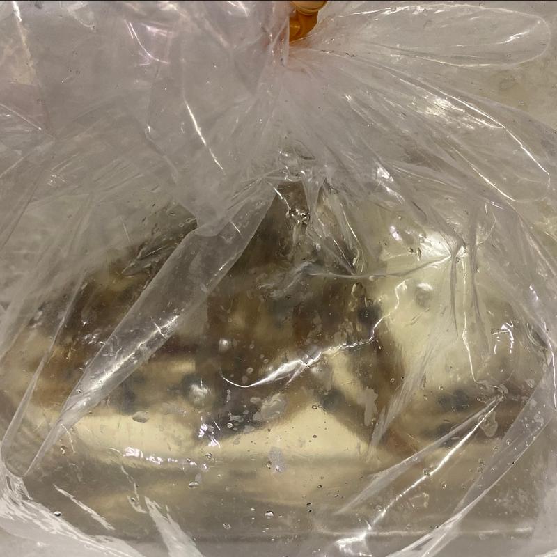 ホタルイカのしゃぶしゃぶ(こい希)