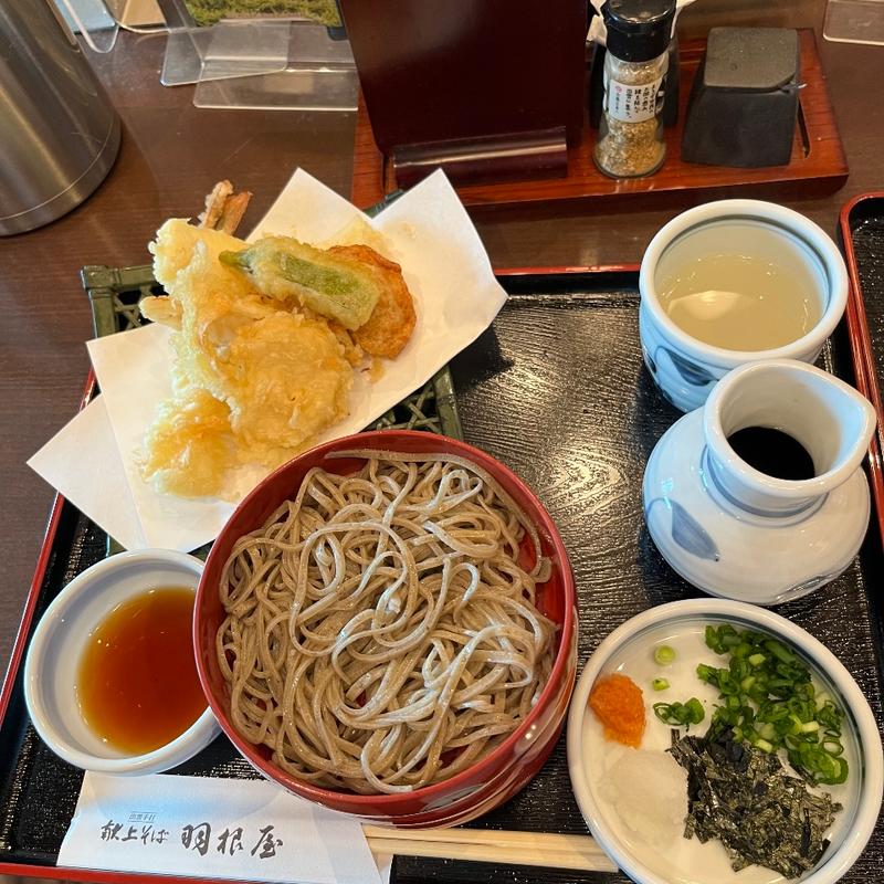 天ぷら割子そば(羽根屋 本店)
