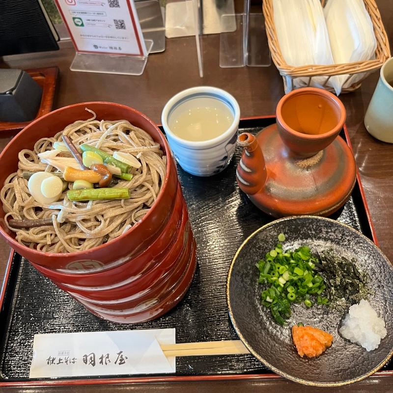 五色割子蕎麦(羽根屋 本店)