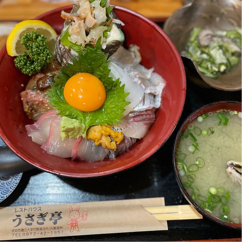 海の幸丼セット(うさぎ亭 )