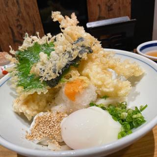 ちく玉ひや天うどん(うどん棒 大阪本店 )