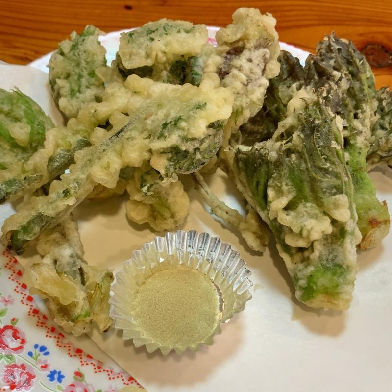 山菜の天ぷら(むら㐂)