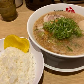 味玉ラーメン(京都銀閣寺 ますたにラーメン 室町店)