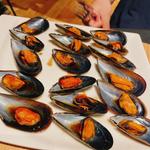 Steamet mussels with Modena sauce