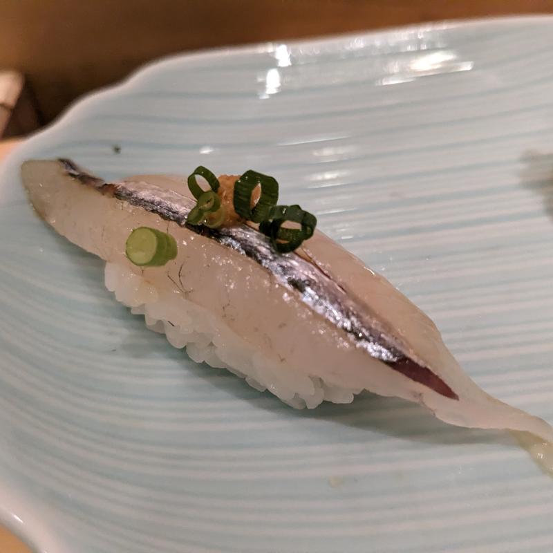 サヨリ(波やし)