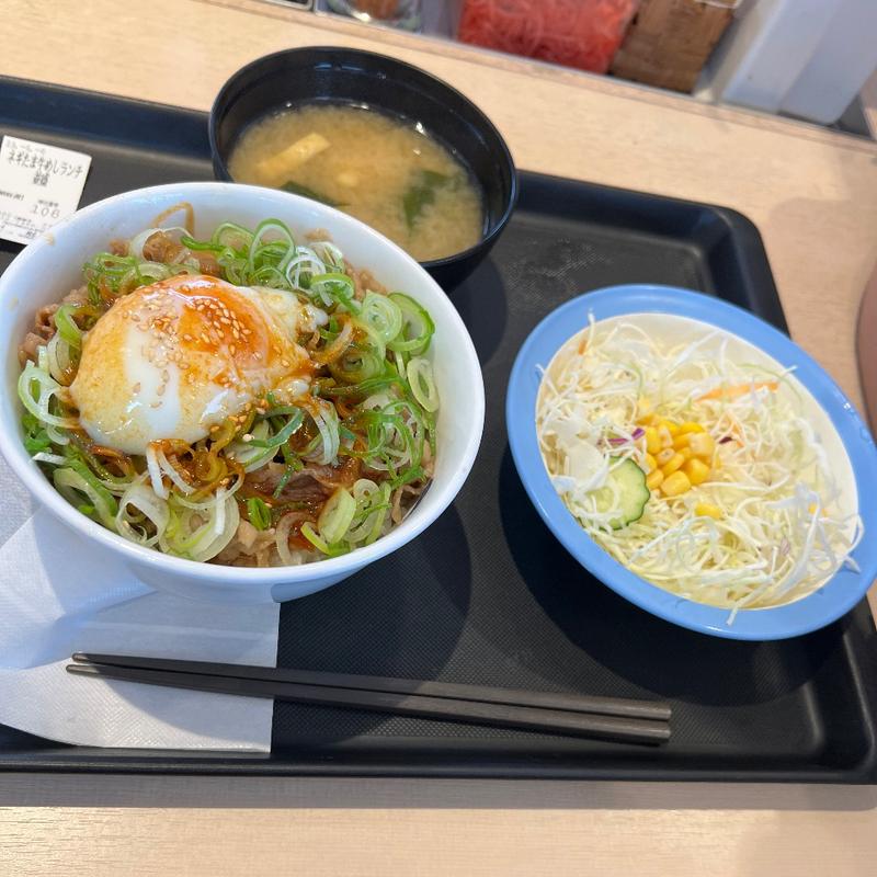 ネギたま牛めしランチ並盛(松屋 長岡店（松のや併設）)