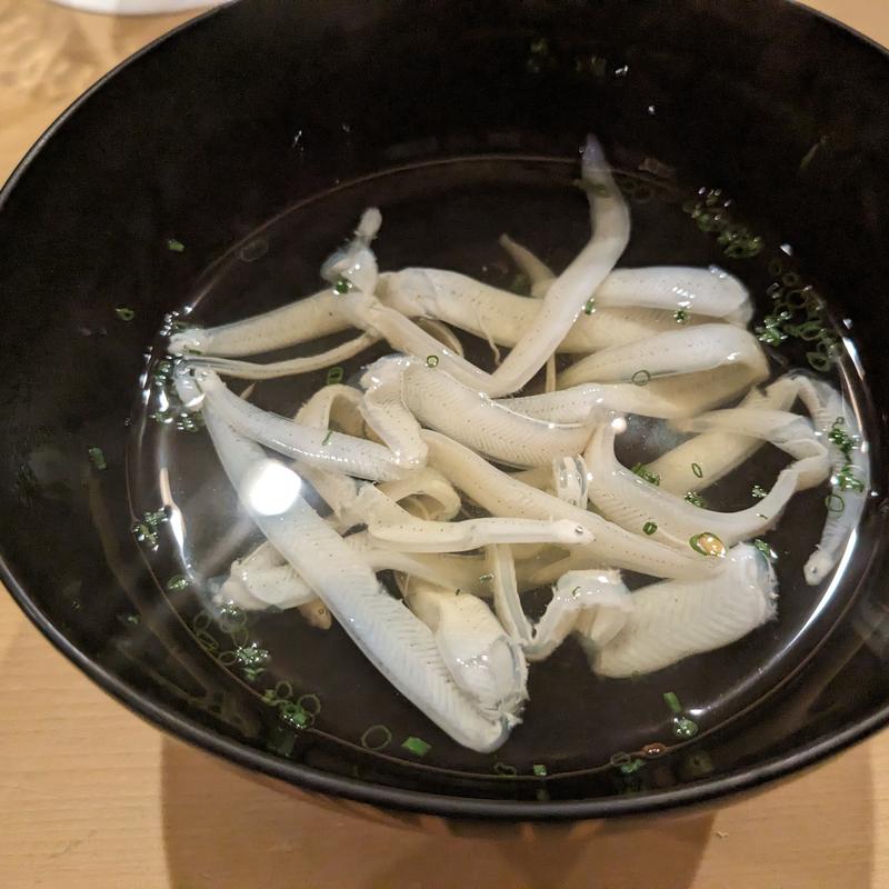 ノレソレうどん仕立て(恵比寿えんどう)