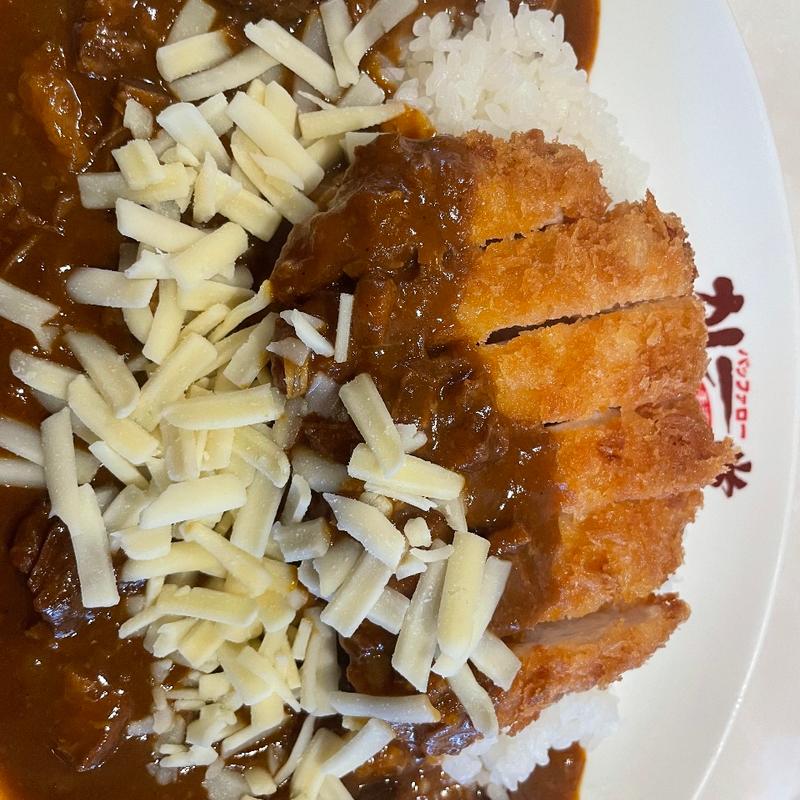 バッファローカレー(カレー堂 難波店)