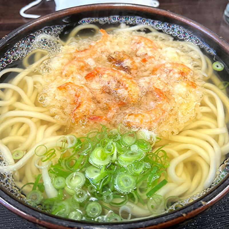 小えびのかき揚げうどん(讃岐手打ちうどん わだち)