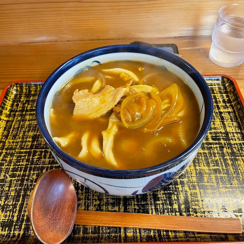 カレーうどん大盛り(いづみや 下妻店 )