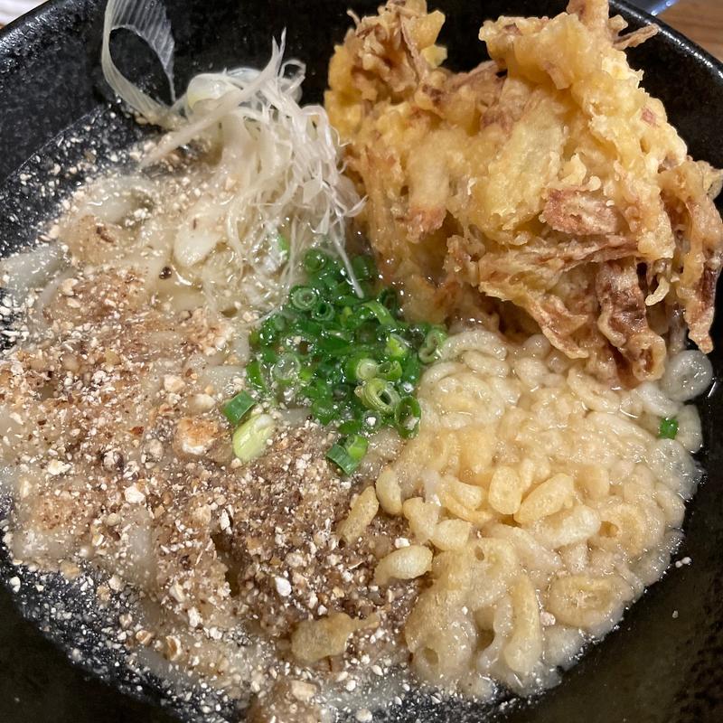 ごぼう天うどん(ぶんご)