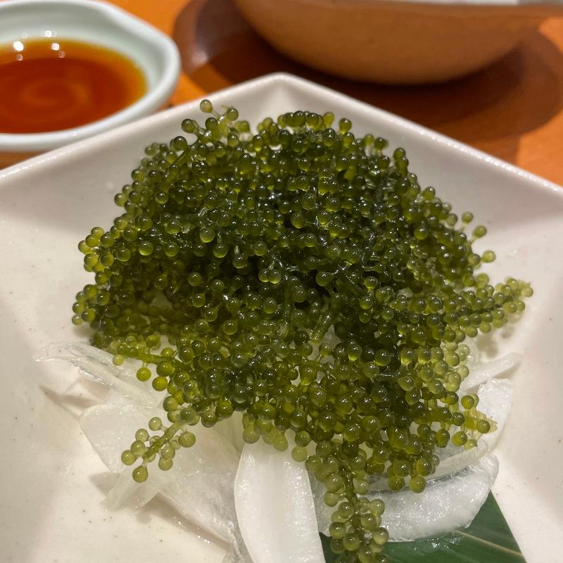 海ふどう(さかなや道場 鶴見駅東口店)