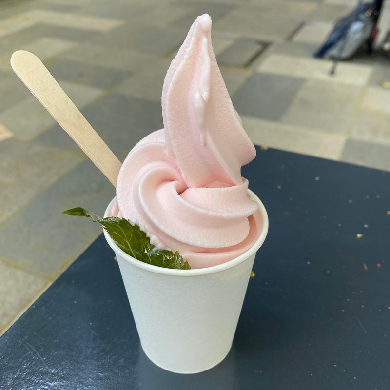 サクラハニープレミアムソフトサーブ(トランクストア)