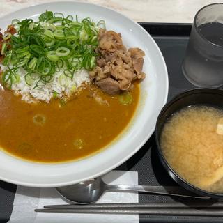 牛肉スパイスカレー(マイカリー食堂　西新宿タワー60店)