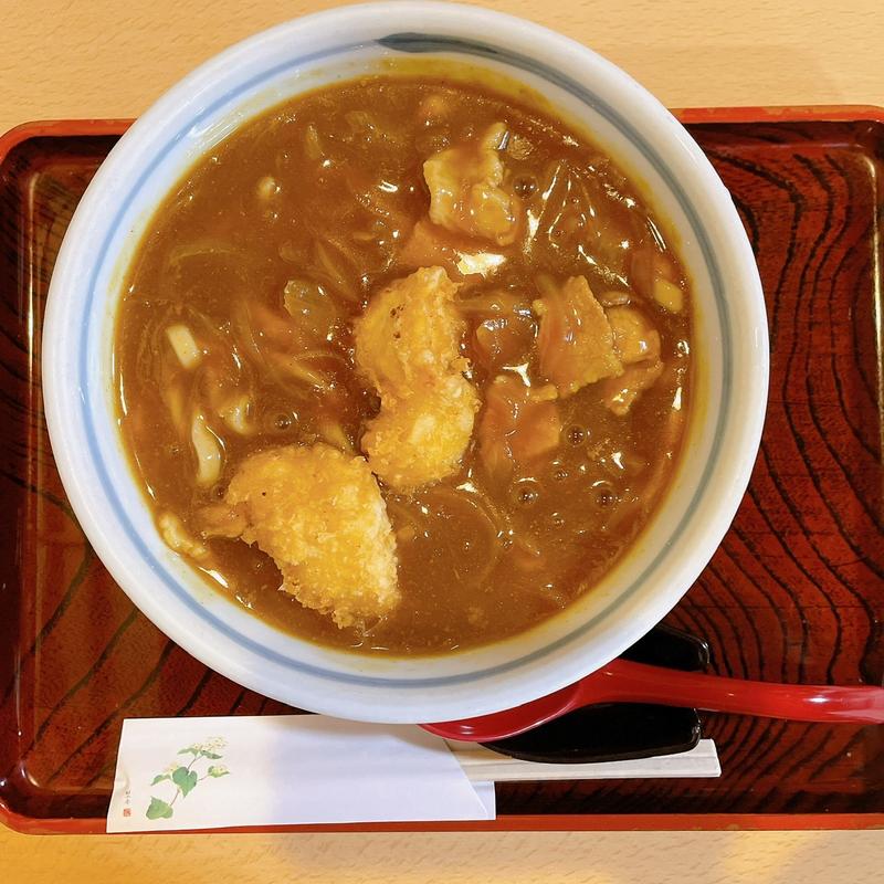 カレー南蛮うどん(孫新)