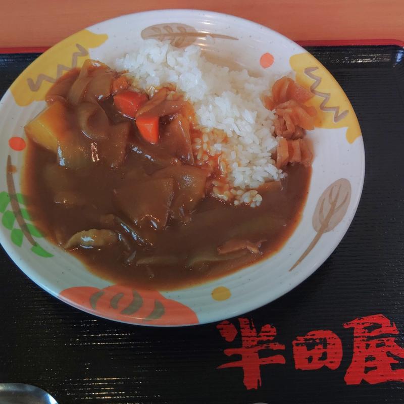 ライスカレー(半田屋 水沢店 )
