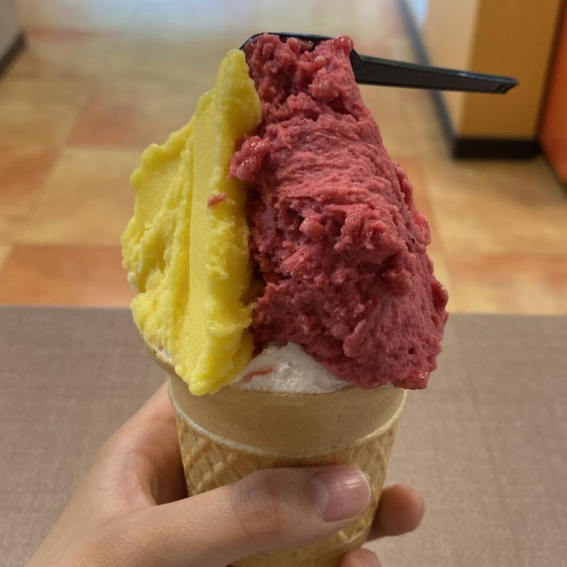 (じぇらーとげんき )