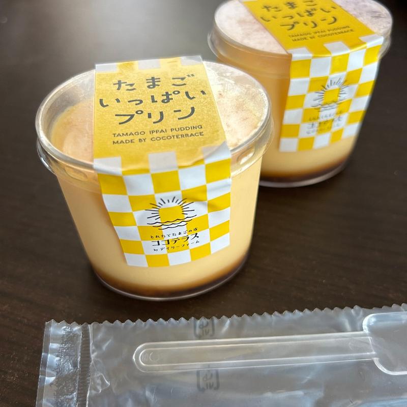 たまごいっぱいプリン(とれたてたまごの店 ココテラス)