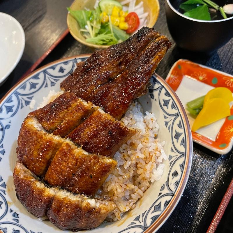 鰻丼（松）(うなぎ松岡 本店)