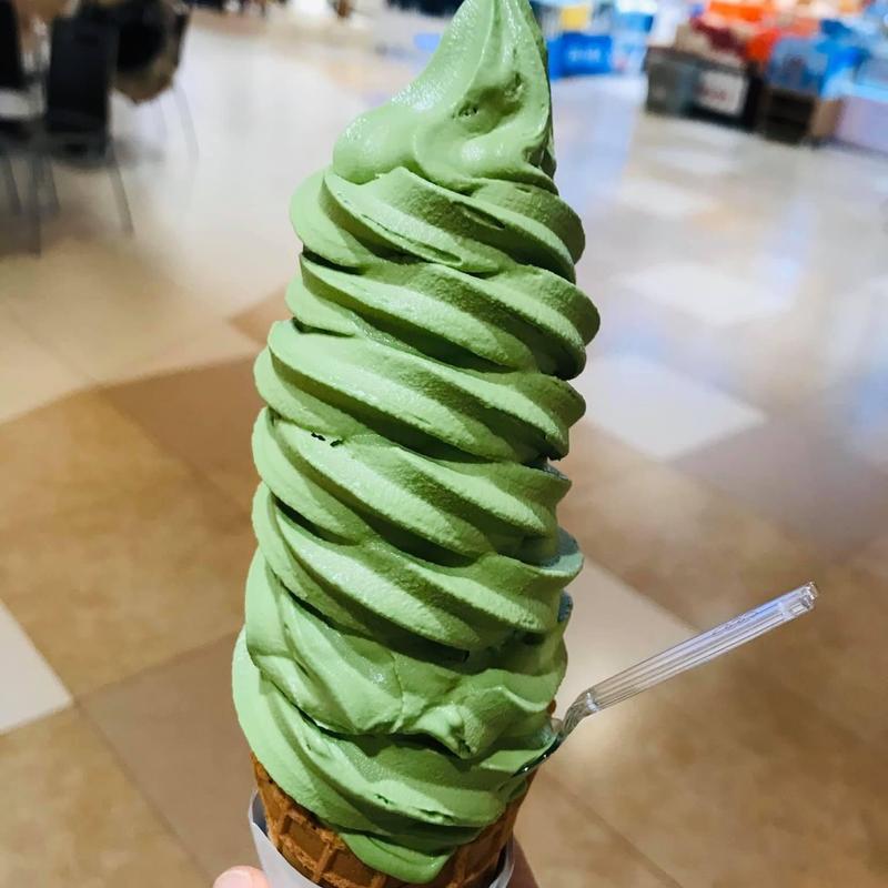 宇治抹茶ソフト(きのとや 白石本店・KINOTOYA cafe)