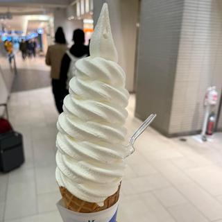 極上牛乳ソフト(きのとや 白石本店・KINOTOYA cafe)