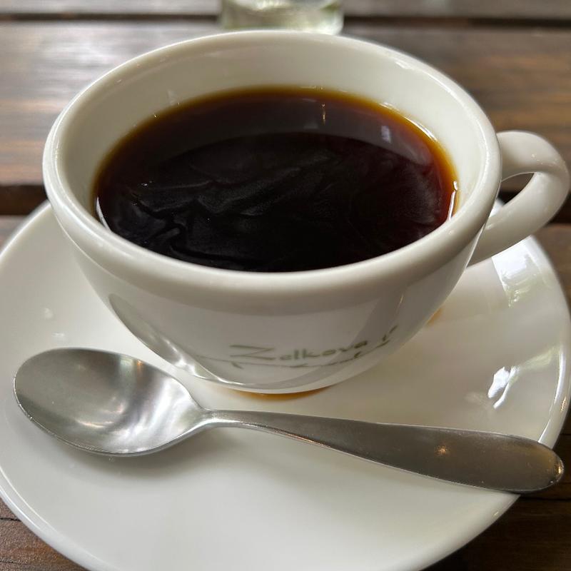 コーヒー(ゼルコヴァ （Zelkova）)