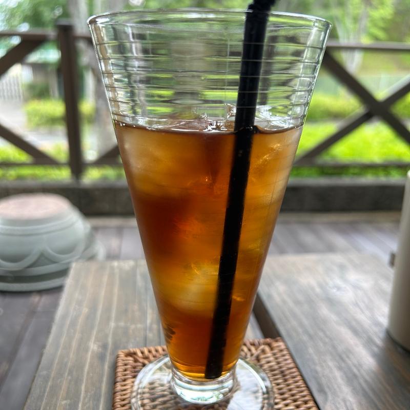 紅茶(ゼルコヴァ （Zelkova）)