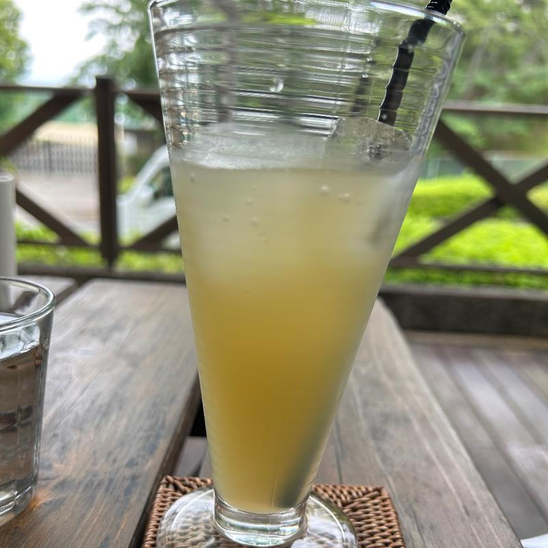 アップルジュース(ゼルコヴァ （Zelkova）)