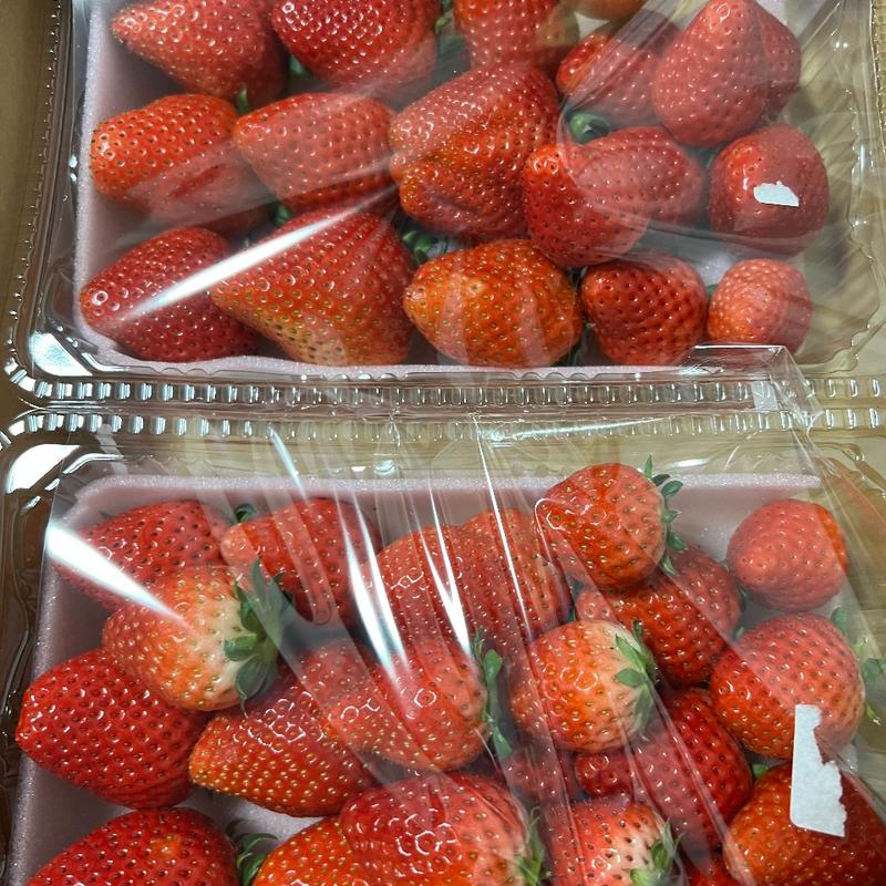 とちあいか(道の駅　みかも )