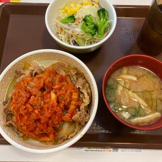 キムチ牛丼サラダセット(すき家 川口榛松店 )