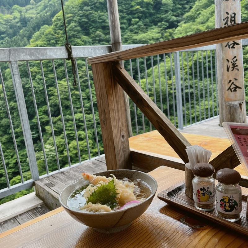 天ぷらそば(そば 祖谷美人 （いやびじん）)