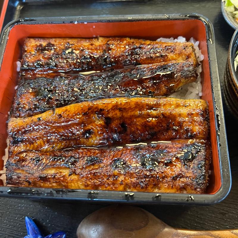 (うなぎの緒里 )