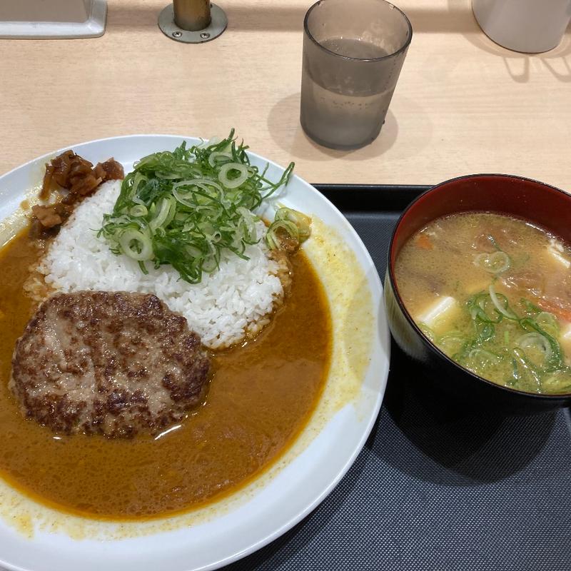 ネギたっぷりスパイスハンバーグカレー(マイカリー食堂 金沢八景店)