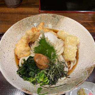 とり天ぶっかけ(情熱うどんはるりん)