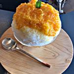 みかんの氷(瀬戸内 ひだまり かき氷 鷺沼店)