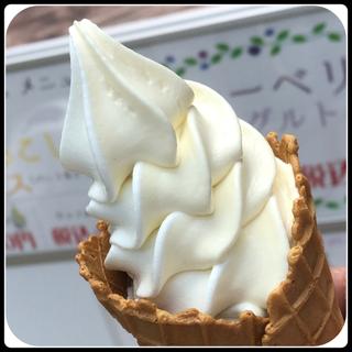ソフトクリーム　ワッフルコーン　とうもろこしとバニラ(開田高原アイスクリーム工房 )