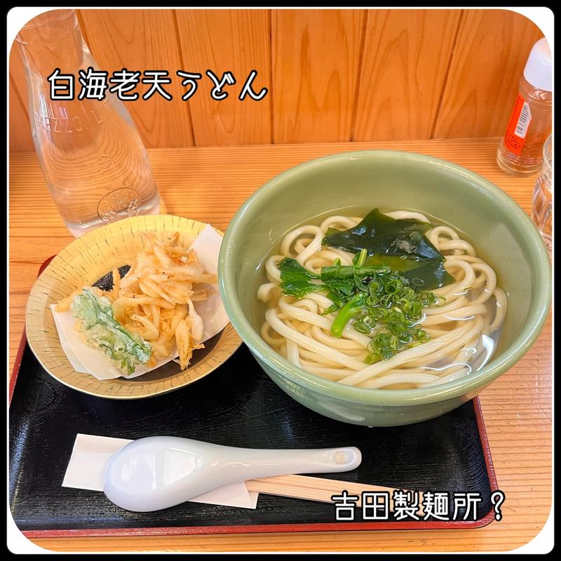 白海老天うどん(吉田製麺所? )