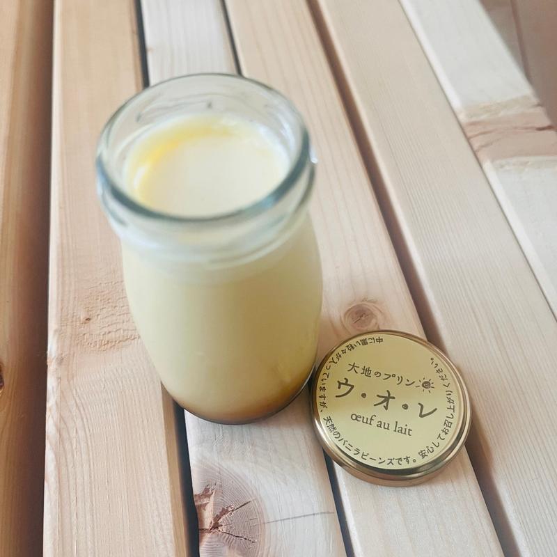 プリン(ラ・テール 洋菓子店)