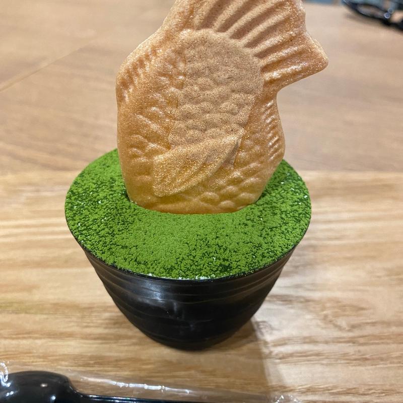 世にも不思議な抹茶プリン(あんこのきもち)