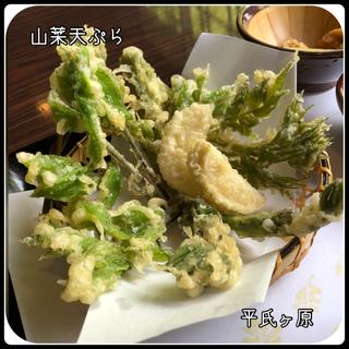 山菜天ぷら(平氏ヶ原 （へいじがはら）)