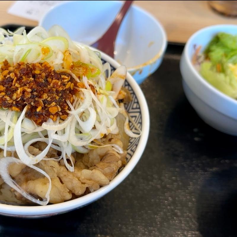 ねぎラー油牛丼 大盛 サラダセット(吉野家 八千代緑が丘店)