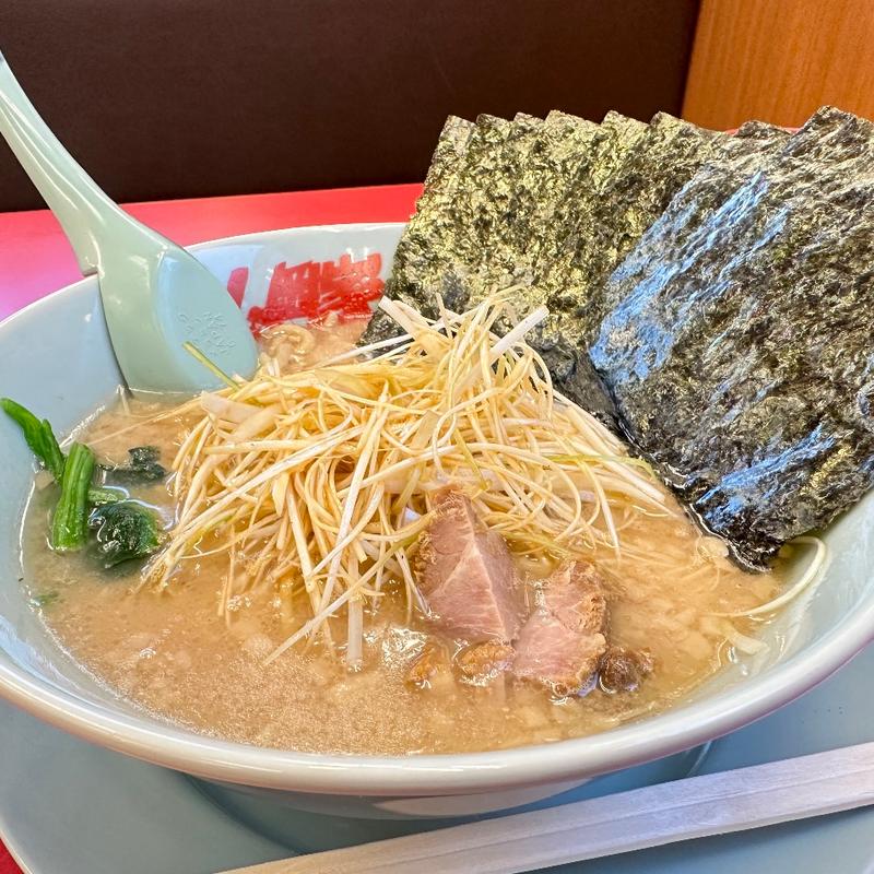 醤油ネギラーメン(ラーメン山岡家 上三川店)