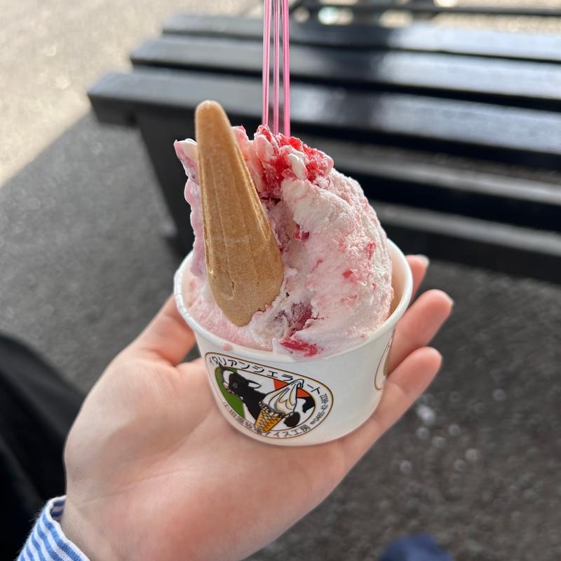 苺のミルフィーユ(小田原牧場アイス工房)