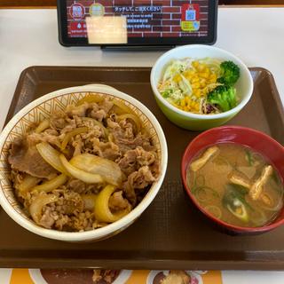 牛丼サラダセット(すき家 足立一ツ家店 )