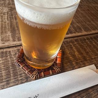 ビール(竹やぶ 柏本店)