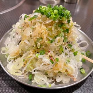 バカネギたん(泥亀 (ドロガメ))