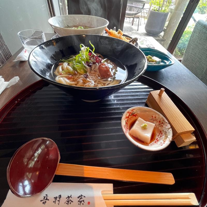 しらす梅おろしうどん、生汲み上げ湯葉(音羽茶寮)