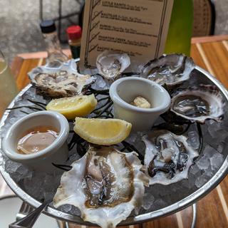Oyster (6pieces)(Ironside Fish & Oyster)