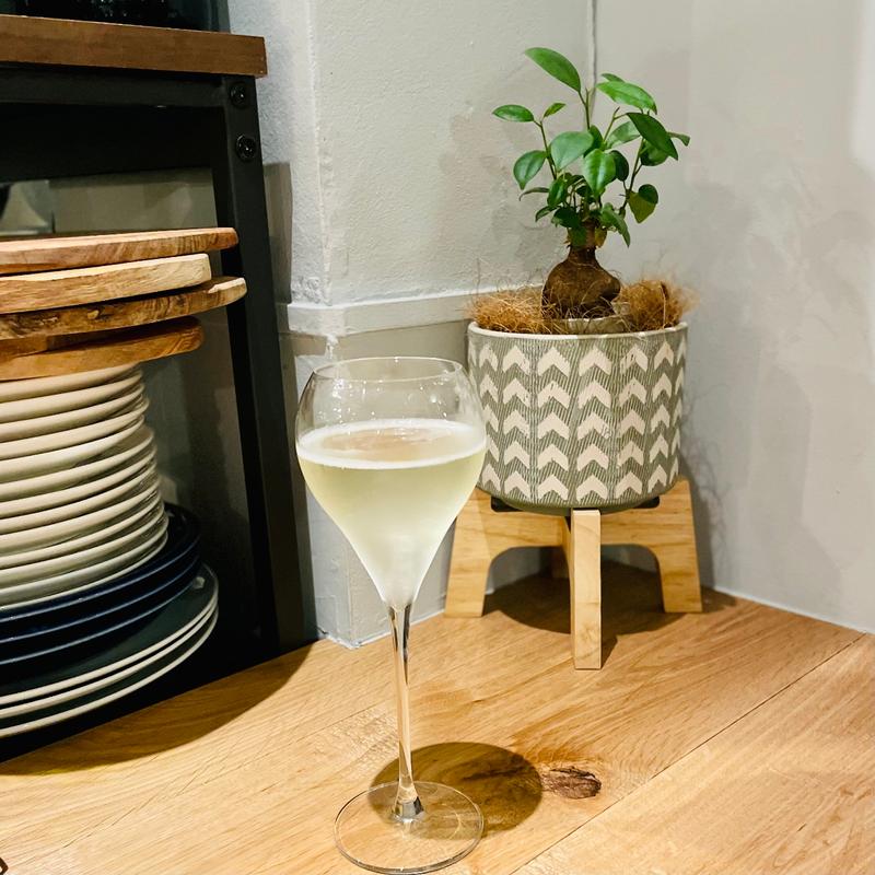 スパークリングワイン(opti)