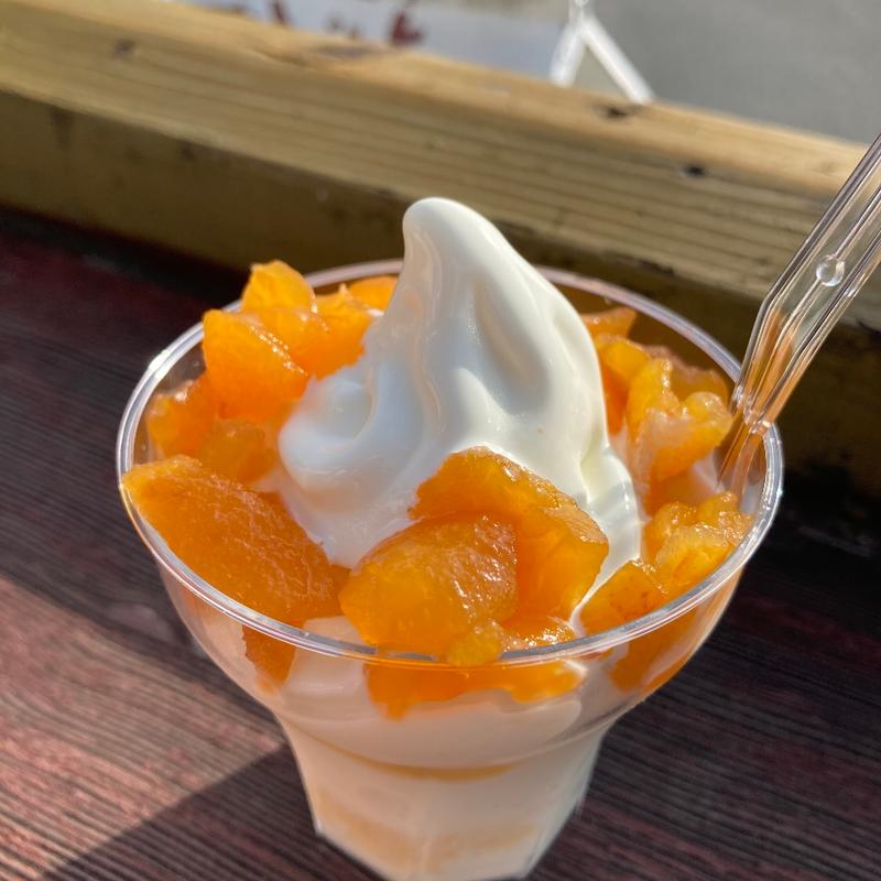 びわカップソフト(伊豆手作り菓子工房グリーンヒル土肥 )